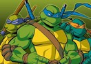 Ninja Turtle Double Dragons
